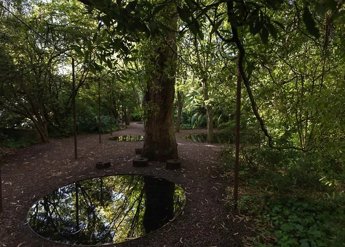Guest house The Lisbon Cool Design Suites - Parking & Self Check In