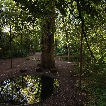 Maison d'hôtes The Boutique